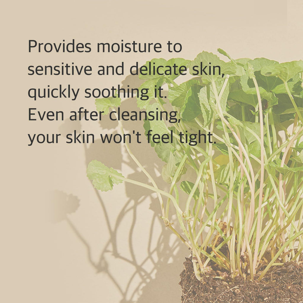 MIXSOON Centella Cleansing Foam 150ml