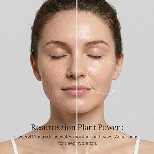 Round Lab  Birch Moisturizing Toner 300ml