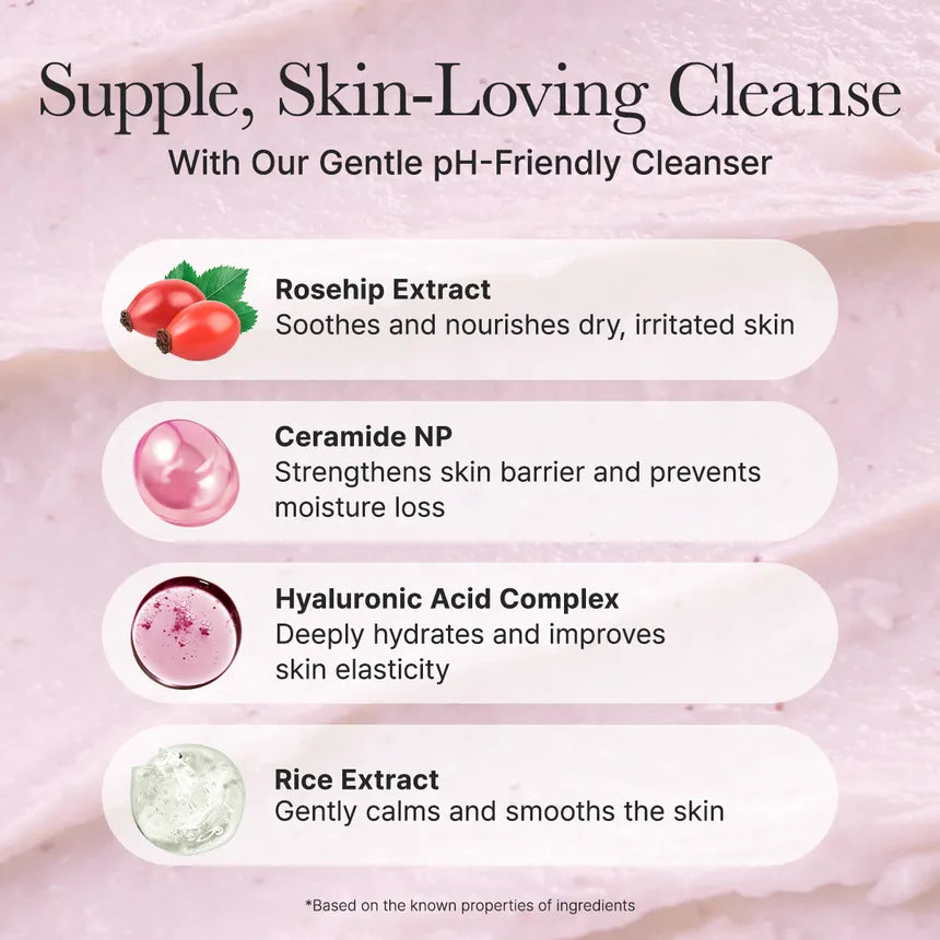 Arencia Rosehip Mild PH Balancing Rice Cake Cleanser 150g
