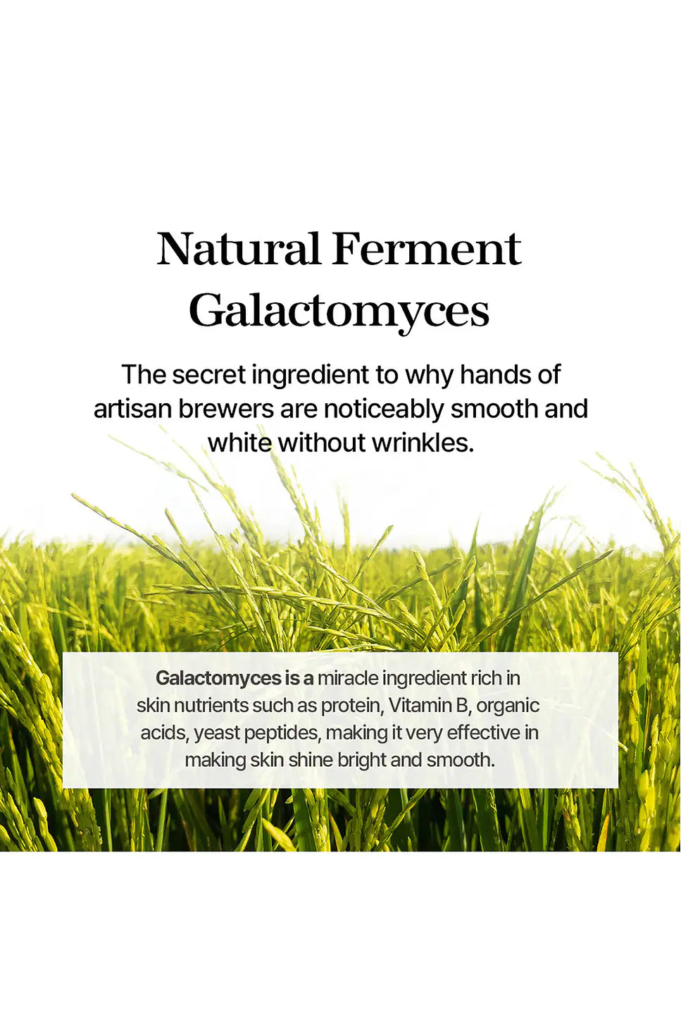 MIXSOON Galactomyces Ferment Essence 100ml