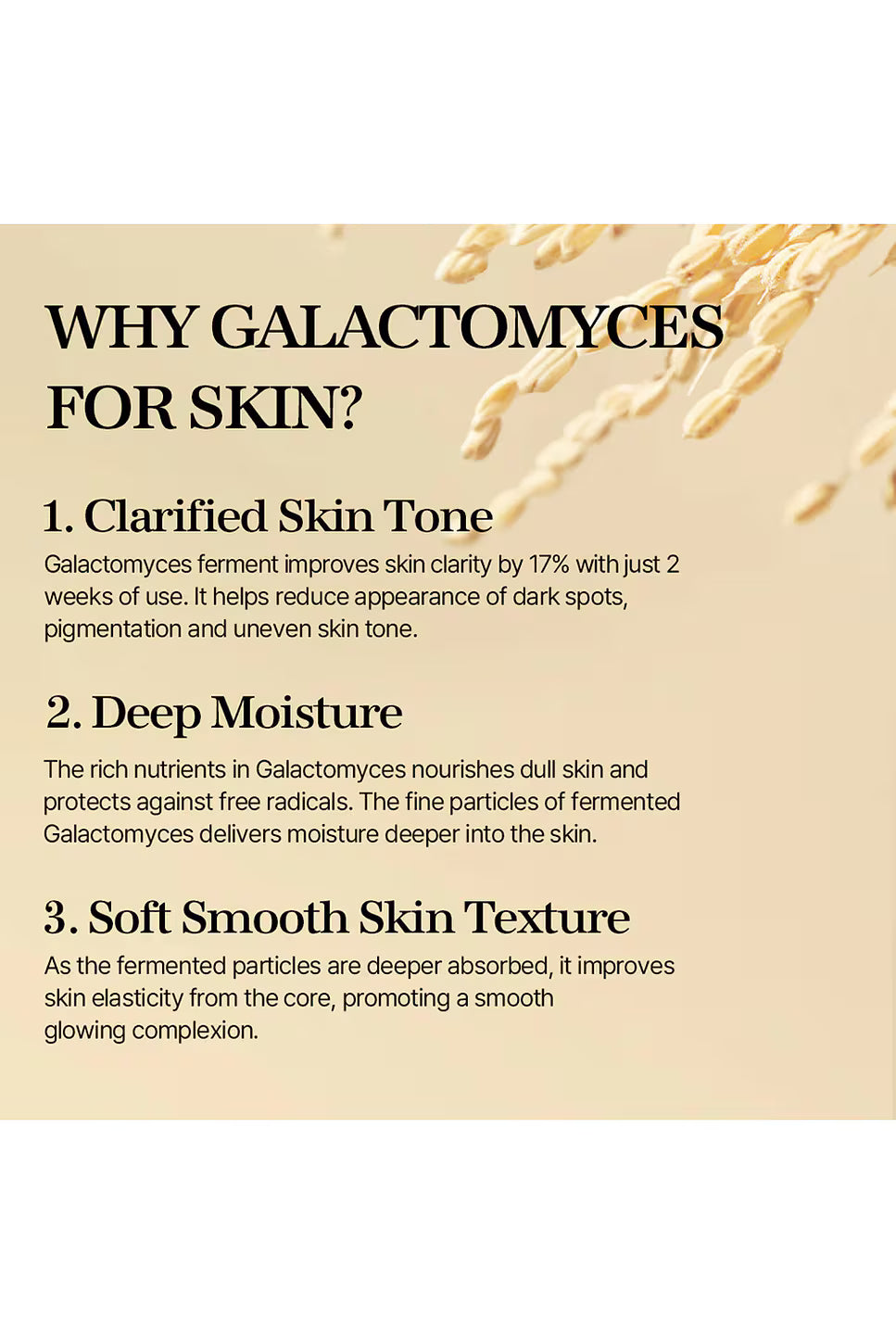 MIXSOON Galactomyces Ferment Essence 100ml