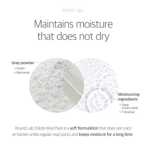 ROUND LAB 1025 DOKDO MUD PACK 100ml (Tube Type)